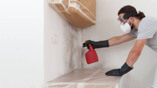 Professional Bathroom Mold Removal technician working in Arnold, MD